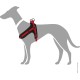 HUNTER Neoprene Vario Quick Dog Harness Nylon Soft Neoprene Padded for Sports and Leisure, s