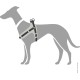 HUNTER Neoprene Vario Quick Dog Harness Nylon Soft Neoprene Padded for Sports and Leisure, s