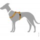HUNTER VARIO RAPID Dog Harness Made of Robust, Supple Nylon, 5-Way Adjustable HUNTER VARIO RAPID Dog Harness Made of Robust, Supple Nylon, 5-Way Adjustable