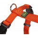 HUNTER VARIO RAPID Dog Harness Made of Robust, Supple Nylon, 5-Way Adjustable HUNTER VARIO RAPID Dog Harness Made of Robust, Supple Nylon, 5-Way Adjustable