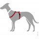 HUNTER VARIO RAPID Dog Harness Made of Robust, Supple Nylon, 5-Way Adjustable HUNTER VARIO RAPID Dog Harness Made of Robust, Supple Nylon, 5-Way Adjustable