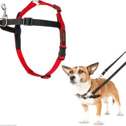 Halti Front Control dog harness, no pulling harness for dogs, stop the dog when walking with Halti dog harness, size small (30 - 60cm)