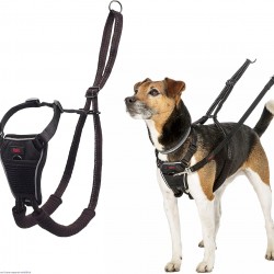 Halti No Pull Dog Harness, transparent