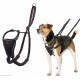 Halti No Pull Dog Harness, transparent Halti No Pull Dog Harness, transparent