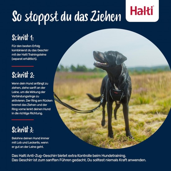 Halti No Pull Dog Harness, transparent Halti No Pull Dog Harness, transparent