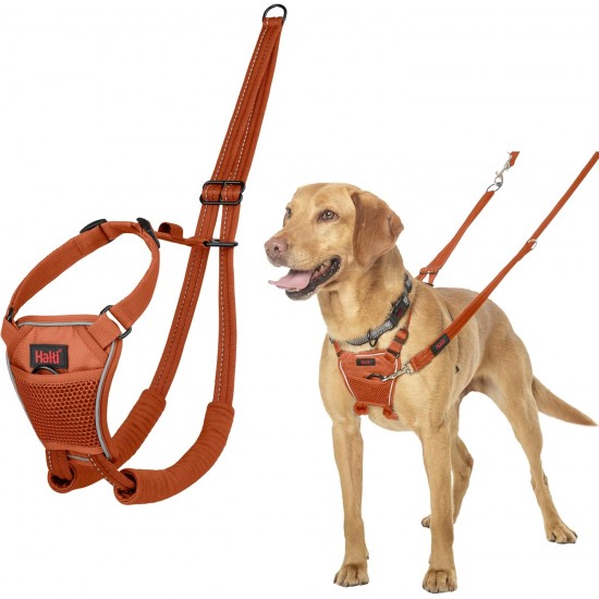 Halti No Pull Dog Harness, transparent Halti No Pull Dog Harness, transparent