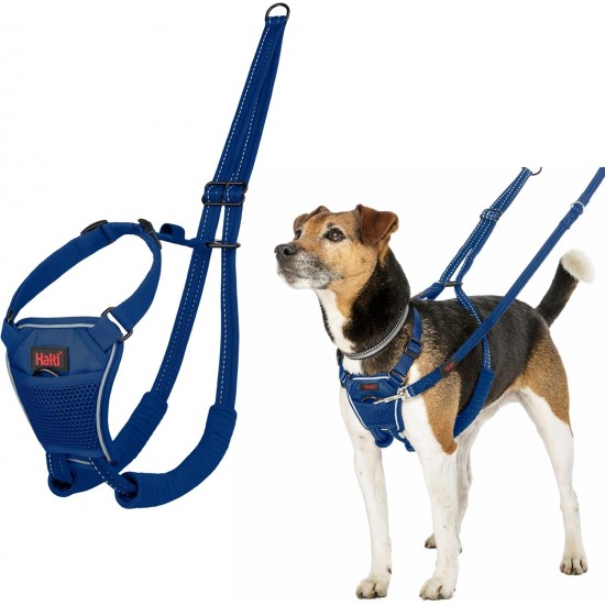 Halti No Pull Dog Harness, transparent Halti No Pull Dog Harness, transparent