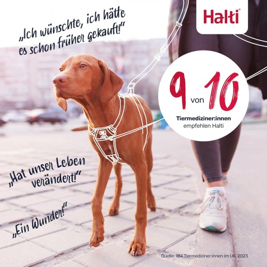 Halti No Pull Dog Harness, transparent Halti No Pull Dog Harness, transparent