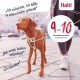 Halti No Pull Dog Harness, transparent Halti No Pull Dog Harness, transparent