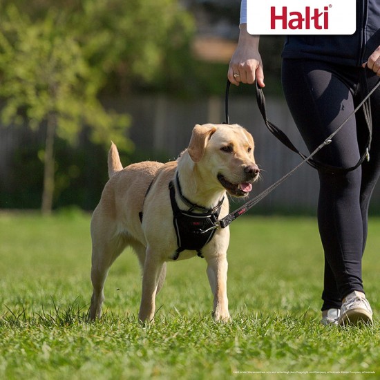 Halti No Pull Dog Harness, transparent Halti No Pull Dog Harness, transparent