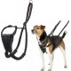 Halti No Pull Dog Harness, transparent Halti No Pull Dog Harness, transparent