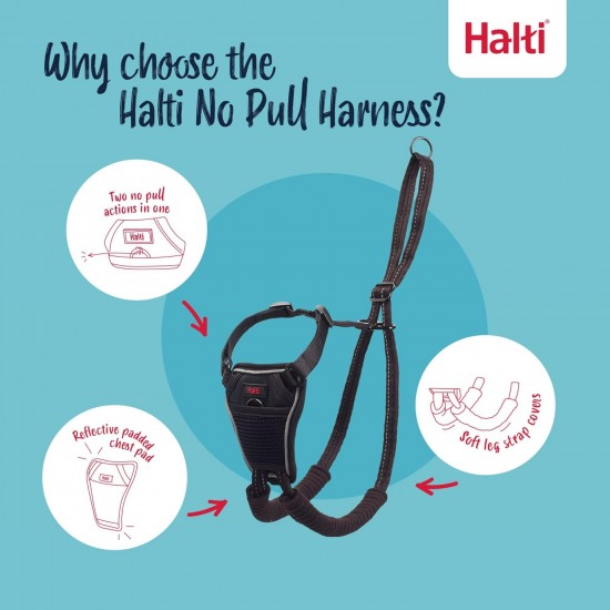 Halti No Pull Dog Harness, transparent Halti No Pull Dog Harness, transparent