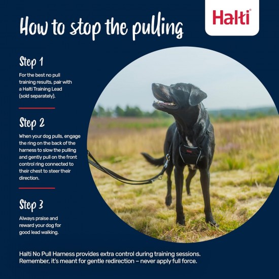 Halti No Pull Dog Harness, transparent Halti No Pull Dog Harness, transparent