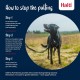 Halti No Pull Dog Harness, transparent Halti No Pull Dog Harness, transparent