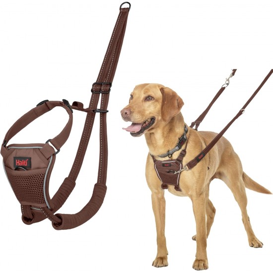 Halti No Pull Dog Harness, transparent Halti No Pull Dog Harness, transparent
