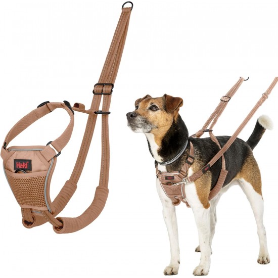 Halti No Pull Dog Harness, transparent Halti No Pull Dog Harness, transparent