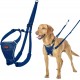 Halti No Pull Dog Harness, transparent Halti No Pull Dog Harness, transparent