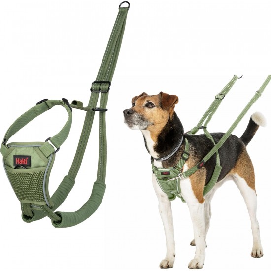 Halti No Pull Dog Harness, transparent Halti No Pull Dog Harness, transparent