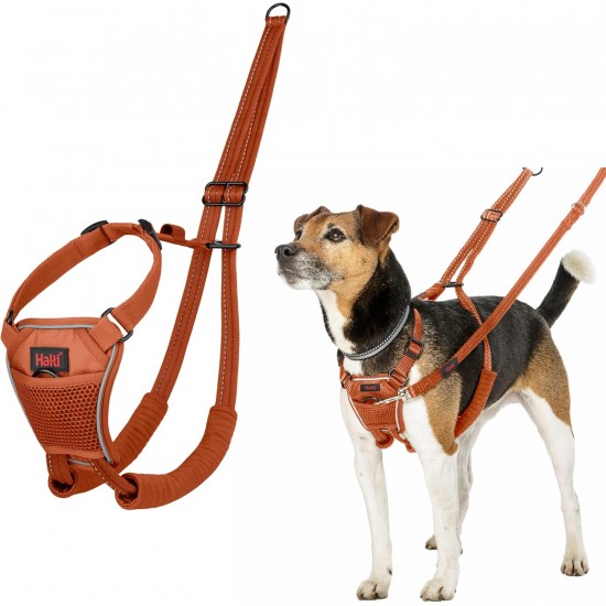 Halti No Pull Dog Harness, transparent Halti No Pull Dog Harness, transparent