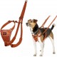 Halti No Pull Dog Harness, transparent Halti No Pull Dog Harness, transparent