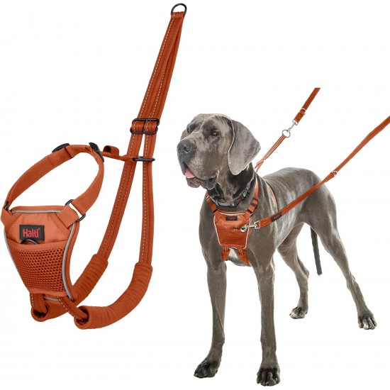 Halti No Pull Dog Harness, transparent Halti No Pull Dog Harness, transparent