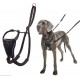 Halti No Pull Dog Harness, transparent Halti No Pull Dog Harness, transparent