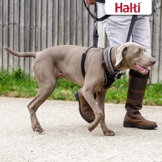 Halti No Pull Dog Harness, transparent Halti No Pull Dog Harness, transparent