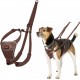 Halti No Pull Dog Harness, transparent Halti No Pull Dog Harness, transparent