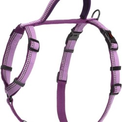Halti walking harness purple small (chest 38-50 cm)