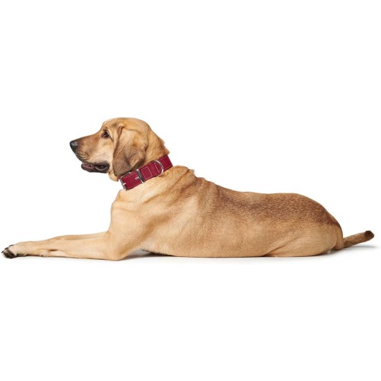 Hunter Aalborg Special Dog Collar with Robust Soft Cowhide Leather and Stylish Stitching Hunter Aalborg Special Dog Collar with Robust Soft Cowhide Leather and Stylish Stitching