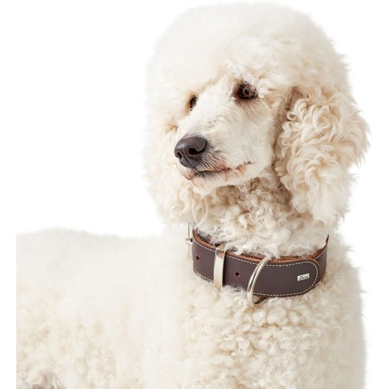 Hunter Aalborg Special Dog Collar with Robust Soft Cowhide Leather and Stylish Stitching Hunter Aalborg Special Dog Collar with Robust Soft Cowhide Leather and Stylish Stitching