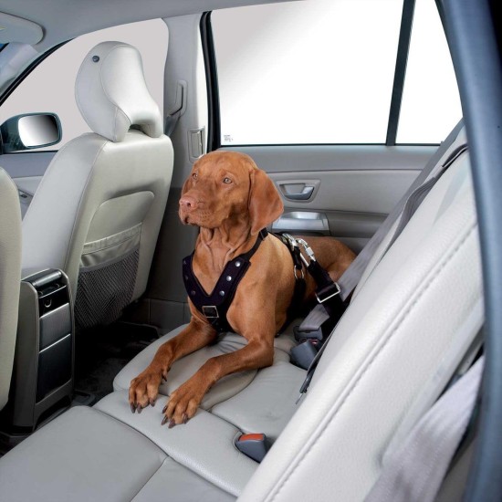 Hunter Easy Comfort 43849 Car Safety Harness Large 25 cm Hunter Easy Comfort 43849 Car Safety Harness Large 25 cm