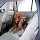 Hunter Easy Comfort 43849 Car Safety Harness Large 25 cm Hunter Easy Comfort 43849 Car Safety Harness Large 25 cm