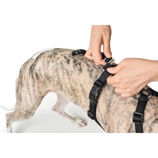 Hunter Vario Rapid Escape-Proof Panic Harness for Anxious Dogs, Made from Soft, Smooth, Tear-Resistant Nylon, l Hunter Vario Rapid Escape-Proof Panic Harness for Anxious Dogs, Made from Soft, Smooth, Tear-Resistant Nylon, l