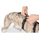 Hunter Vario Rapid Escape-Proof Panic Harness for Anxious Dogs, Made from Soft, Smooth, Tear-Resistant Nylon, l Hunter Vario Rapid Escape-Proof Panic Harness for Anxious Dogs, Made from Soft, Smooth, Tear-Resistant Nylon, l