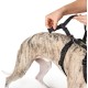 Hunter Vario Rapid Escape-Proof Panic Harness for Anxious Dogs, Made from Soft, Smooth, Tear-Resistant Nylon, l Hunter Vario Rapid Escape-Proof Panic Harness for Anxious Dogs, Made from Soft, Smooth, Tear-Resistant Nylon, l