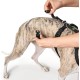 Hunter Vario Rapid Escape-Proof Panic Harness for Anxious Dogs, Made from Soft, Smooth, Tear-Resistant Nylon, l Hunter Vario Rapid Escape-Proof Panic Harness for Anxious Dogs, Made from Soft, Smooth, Tear-Resistant Nylon, l