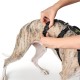 Hunter Vario Rapid Escape-Proof Panic Harness for Anxious Dogs, Made from Soft, Smooth, Tear-Resistant Nylon, l Hunter Vario Rapid Escape-Proof Panic Harness for Anxious Dogs, Made from Soft, Smooth, Tear-Resistant Nylon, l