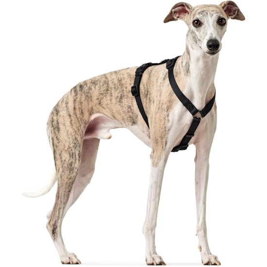 Hunter Vario Rapid Escape-Proof Panic Harness for Anxious Dogs, Made from Soft, Smooth, Tear-Resistant Nylon, l Hunter Vario Rapid Escape-Proof Panic Harness for Anxious Dogs, Made from Soft, Smooth, Tear-Resistant Nylon, l
