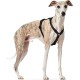 Hunter Vario Rapid Escape-Proof Panic Harness for Anxious Dogs, Made from Soft, Smooth, Tear-Resistant Nylon, l Hunter Vario Rapid Escape-Proof Panic Harness for Anxious Dogs, Made from Soft, Smooth, Tear-Resistant Nylon, l