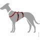 Hunter Vario Rapid Escape-Proof Panic Harness for Anxious Dogs, Made from Soft, Smooth, Tear-Resistant Nylon, l Hunter Vario Rapid Escape-Proof Panic Harness for Anxious Dogs, Made from Soft, Smooth, Tear-Resistant Nylon, l