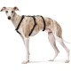 Hunter Vario Rapid Escape-Proof Panic Harness for Anxious Dogs, Made from Soft, Smooth, Tear-Resistant Nylon, l Hunter Vario Rapid Escape-Proof Panic Harness for Anxious Dogs, Made from Soft, Smooth, Tear-Resistant Nylon, l