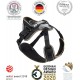 IDC Longwalk Harness, Red/Grey, Size: L IDC Longwalk Harness, Red/Grey, Size: L