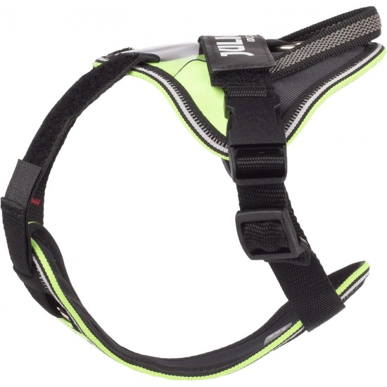 IDC Longwalk Harness, Red/Grey, Size: L IDC Longwalk Harness, Red/Grey, Size: L