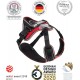 IDC Longwalk Harness, Red/Grey, Size: L IDC Longwalk Harness, Red/Grey, Size: L