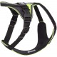 IDC Longwalk Harness, Red/Grey, Size: L IDC Longwalk Harness, Red/Grey, Size: L