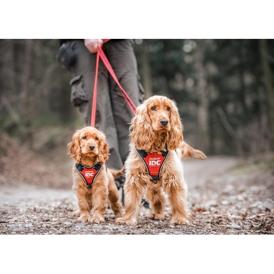 IDC Longwalk Harness, Red/Grey, Size: L IDC Longwalk Harness, Red/Grey, Size: L