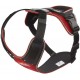 IDC Longwalk Harness, Red/Grey, Size: L IDC Longwalk Harness, Red/Grey, Size: L