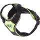 IDC Longwalk Harness, Red/Grey, Size: L IDC Longwalk Harness, Red/Grey, Size: L