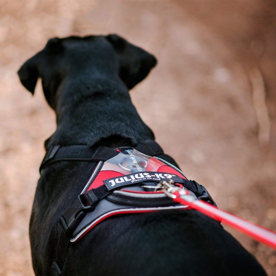 IDC Longwalk Harness, Red/Grey, Size: L IDC Longwalk Harness, Red/Grey, Size: L